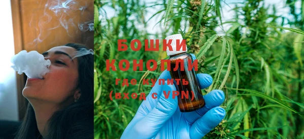 сатива Волоколамск