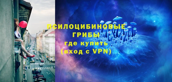 сатива Волоколамск